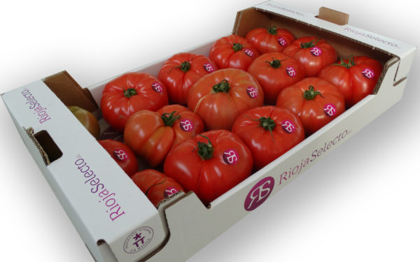 Comprar Tomate de ensalada Extra