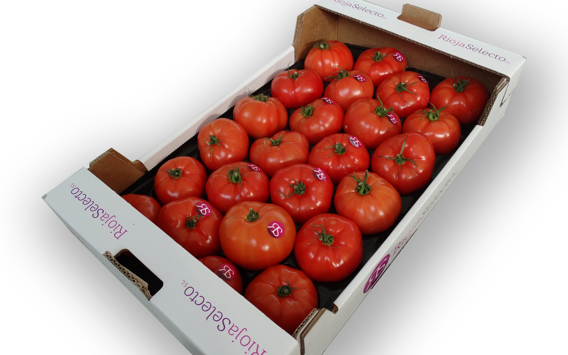 Ciego Ceniza Edredón Tomate de ensalada G caja 3,5Kg. Envío Gratis | RiojaSelecto