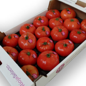 Comprar tomate de ensalada GG